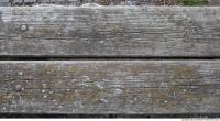 wood planks bare 0001